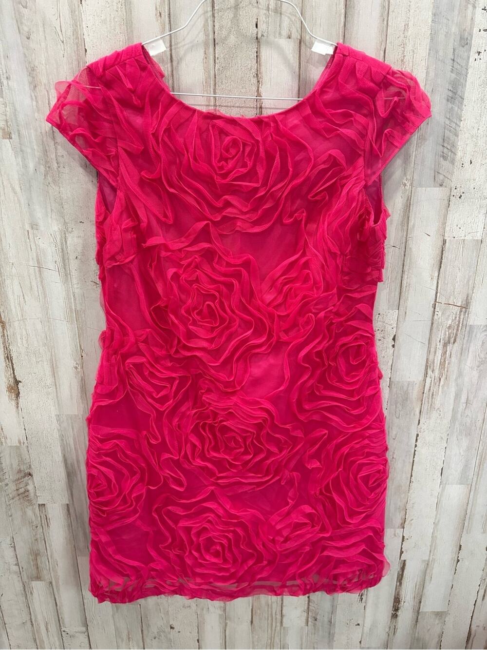 Antonio Melani Size 8 Floral Organza 3D Roses Sheath Dress Hot Pink Girly